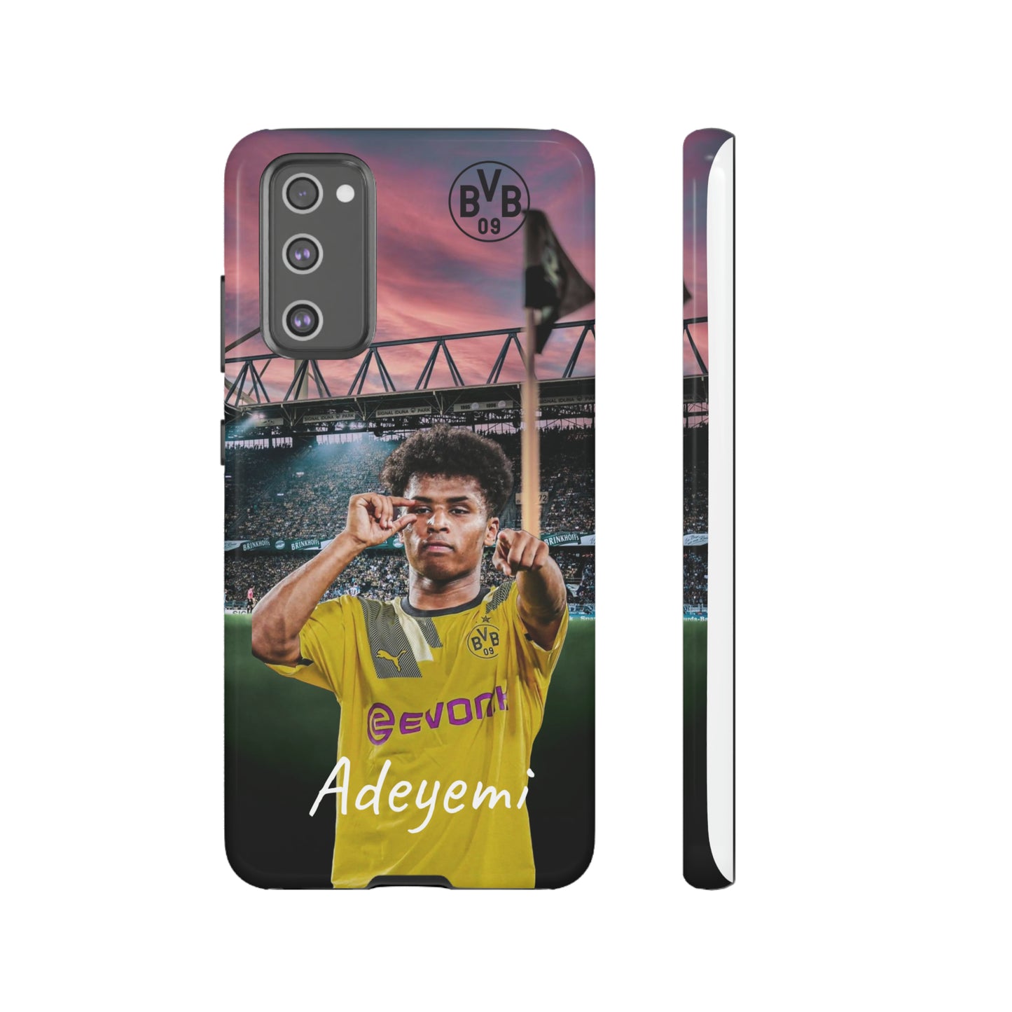 Adeyemi BVB Case