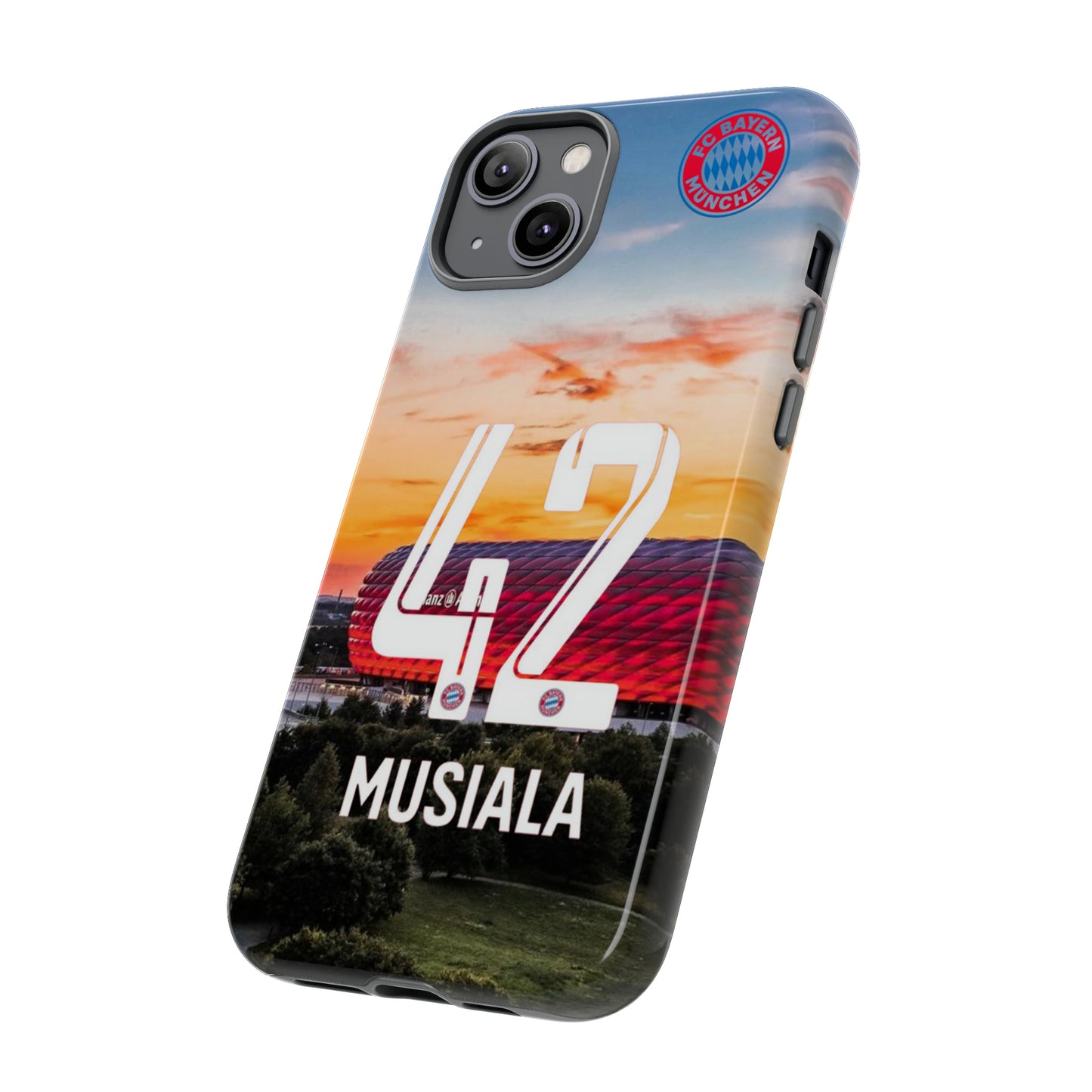 Allianz Arena Case