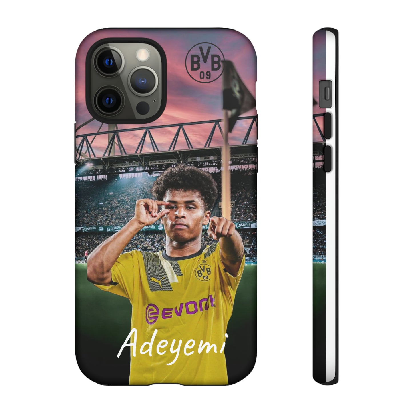 Adeyemi BVB Case