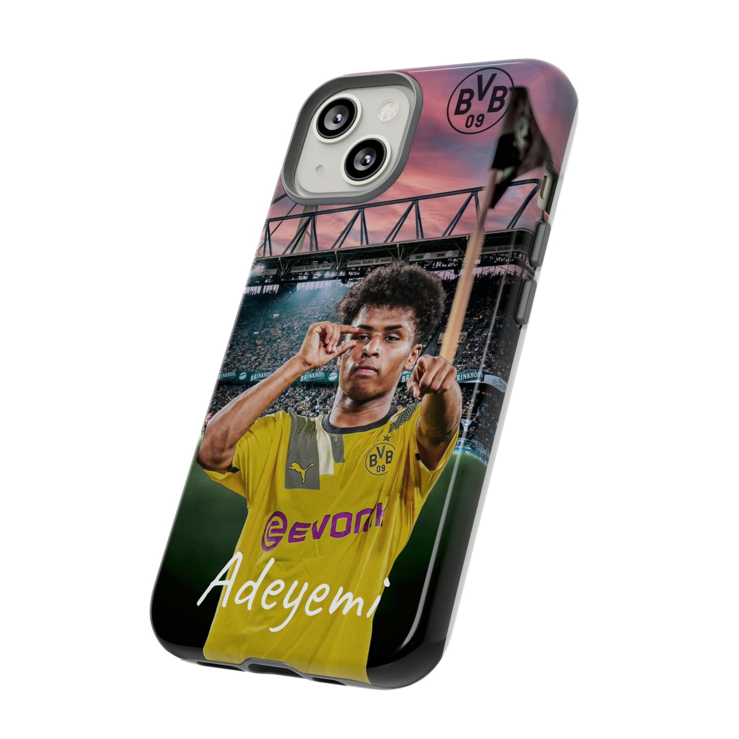 Adeyemi BVB Case