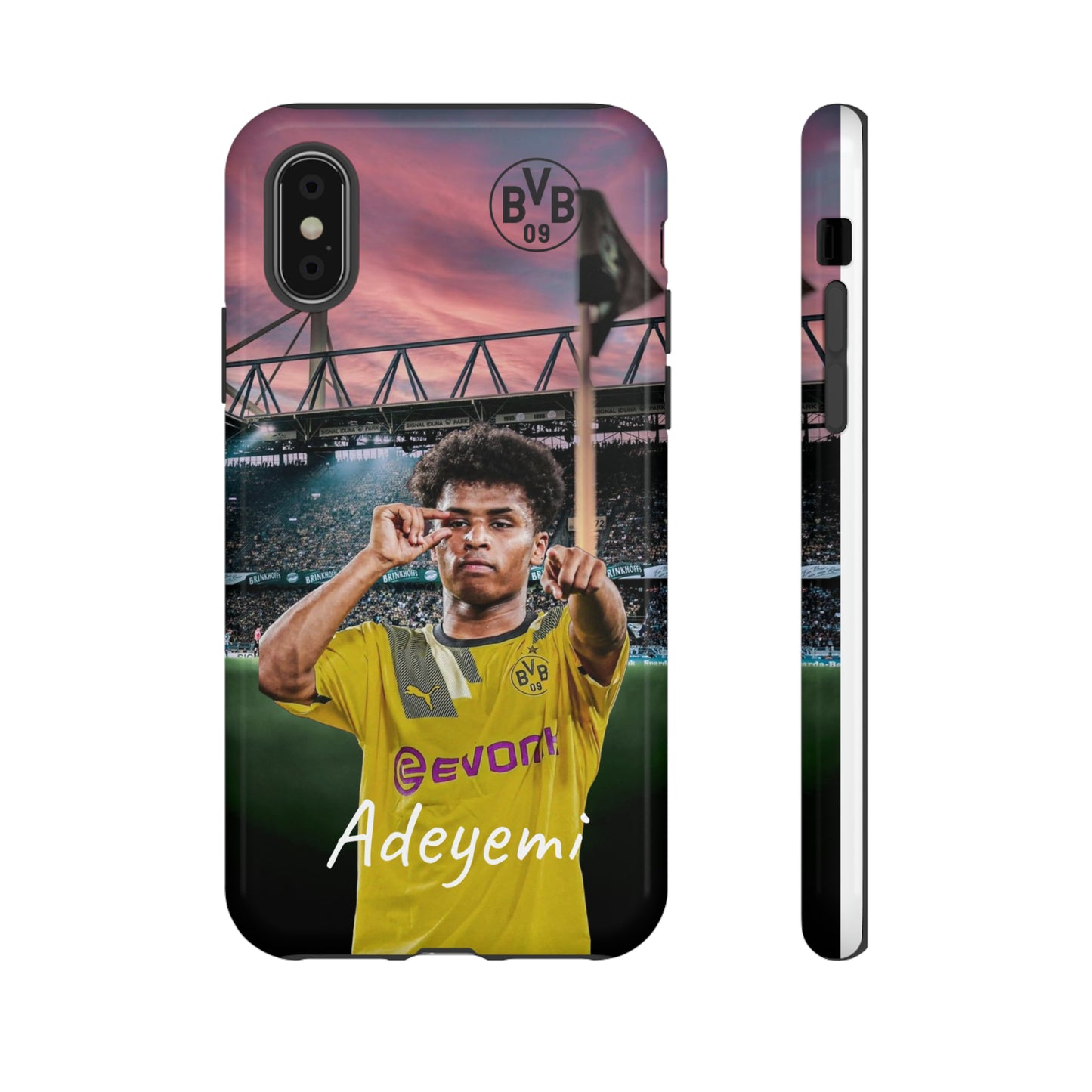 Adeyemi BVB Case
