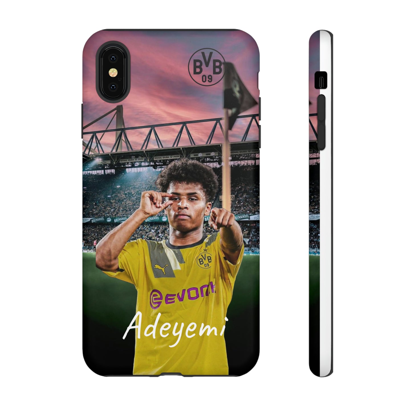 Adeyemi BVB Case