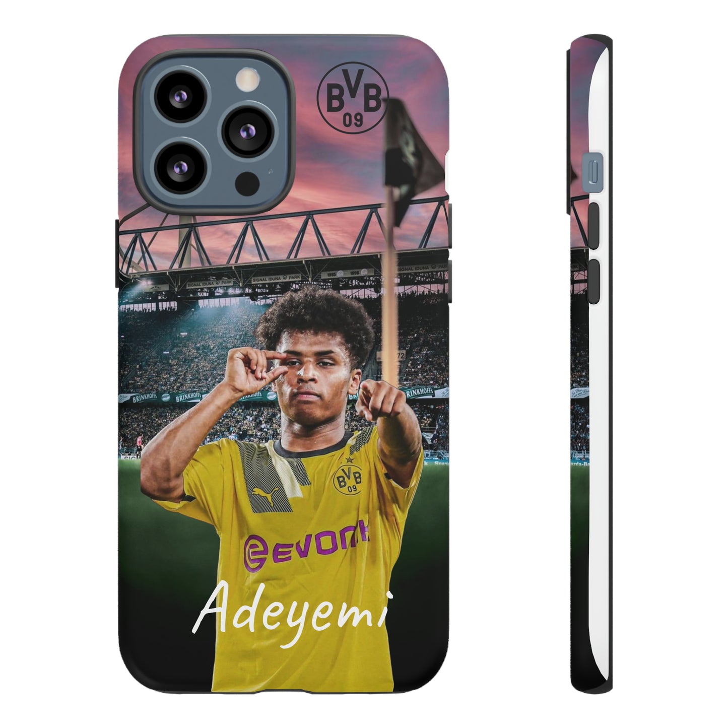 Adeyemi BVB Case
