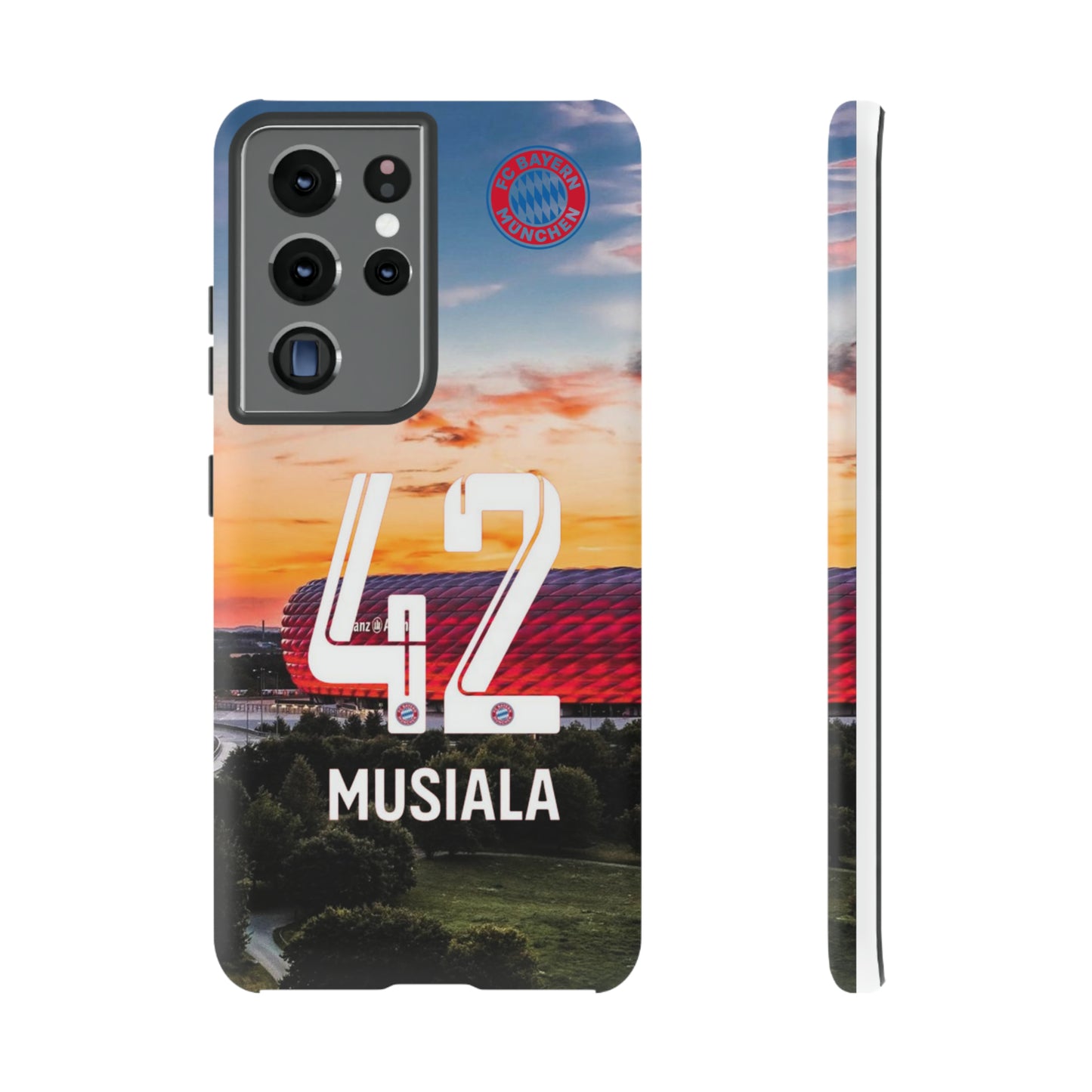 Allianz Arena Case