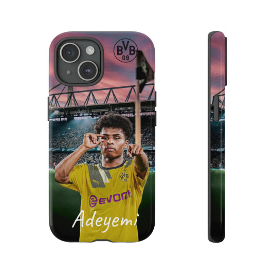 Adeyemi BVB Case